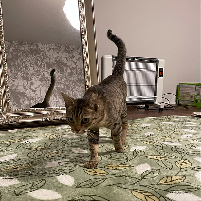 Sivaさんの実例写真