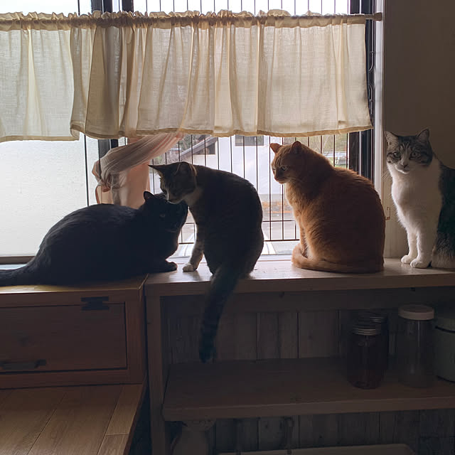 rioさんの部屋
