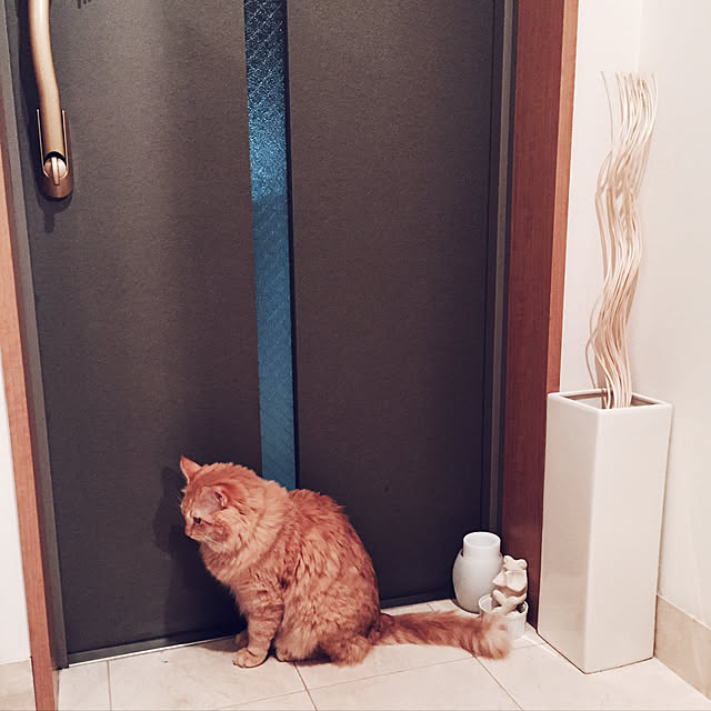 Ryokoさんの実例写真