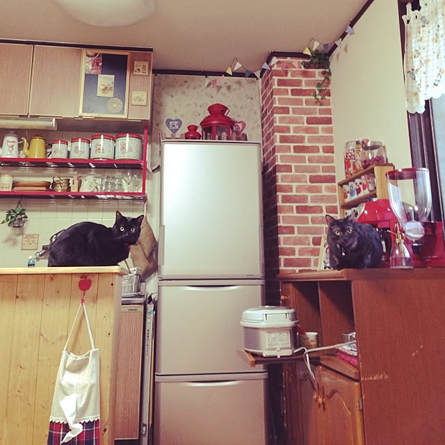 cocotakuさんの実例写真
