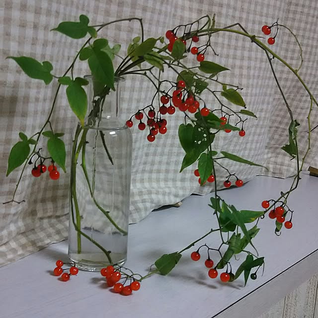 naopyiさんの実例写真