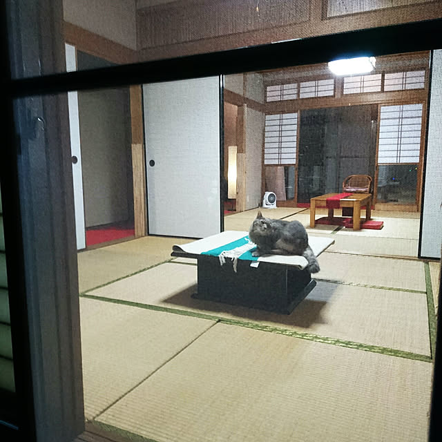 uchizukonyanさんの実例写真