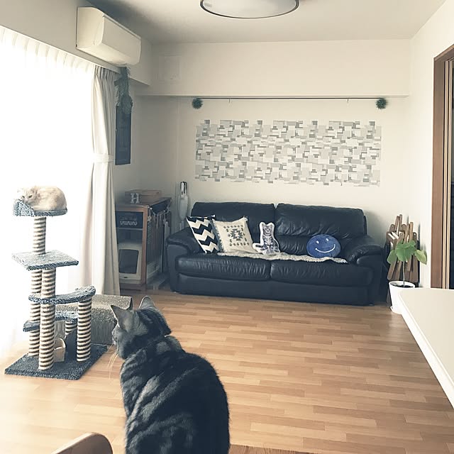 hiyupan88さんの実例写真