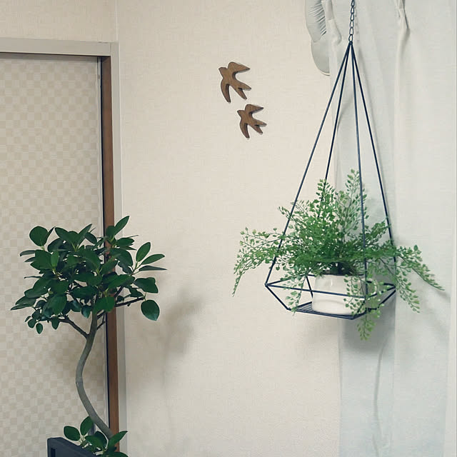 aco912さんの実例写真