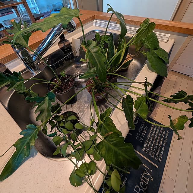 lovepeaceさんの部屋