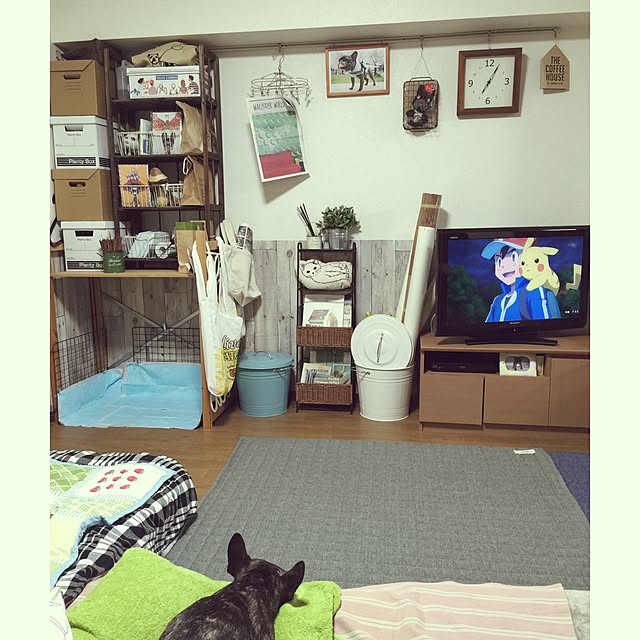 Mayumiさんの実例写真