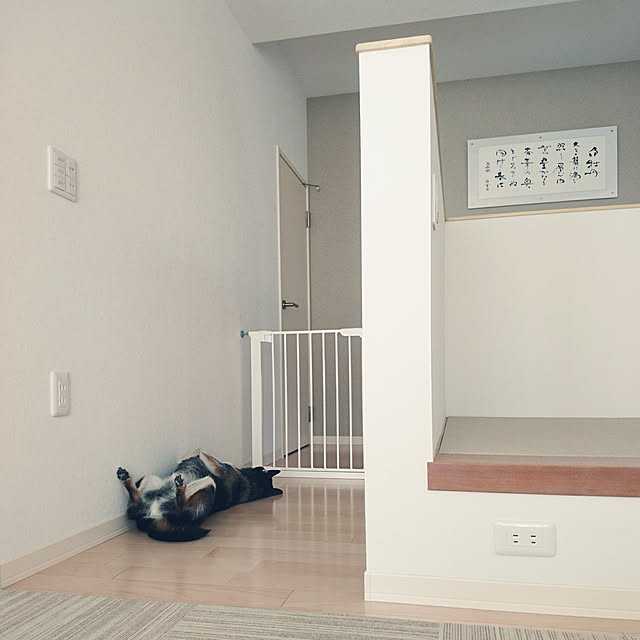 wankorolinさんの実例写真