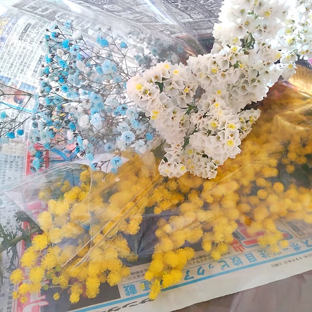 PiyoDonaRoseさんの部屋