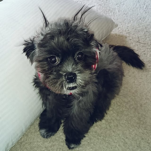 asaさんの実例写真