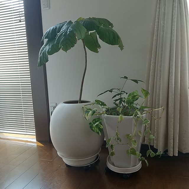 Rさんの部屋