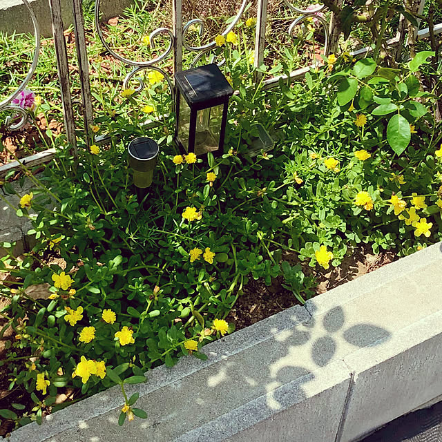 tomoさんの部屋
