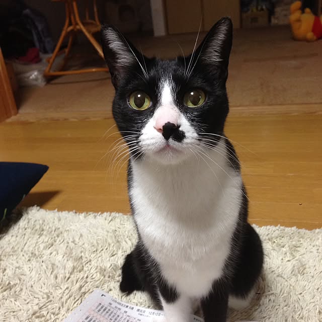 Kinanさんの実例写真