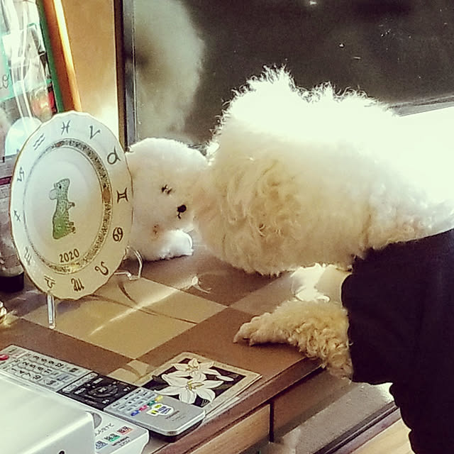 takoさんの実例写真