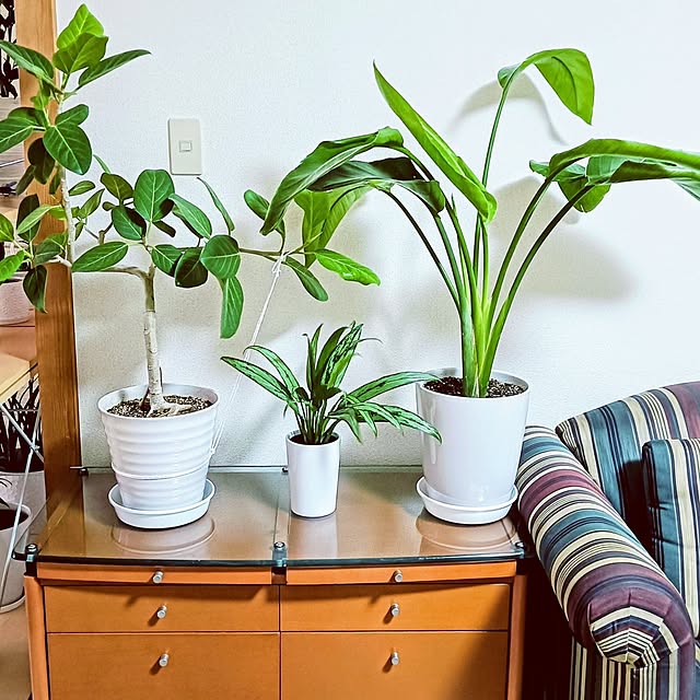 hanachanさんの部屋