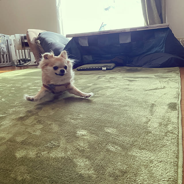 natsumiさんの実例写真