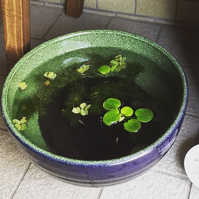 kenji.Bさんの実例写真