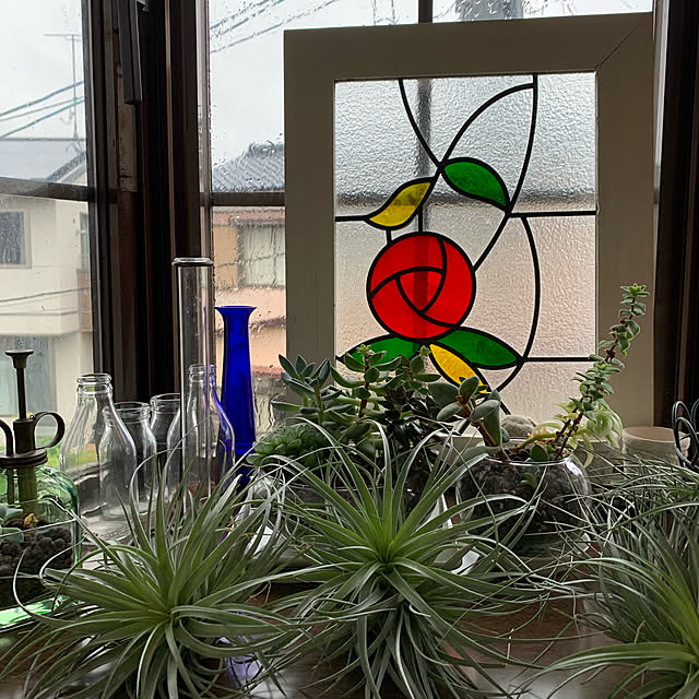 実例写真