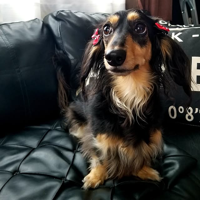 momozouさんの部屋