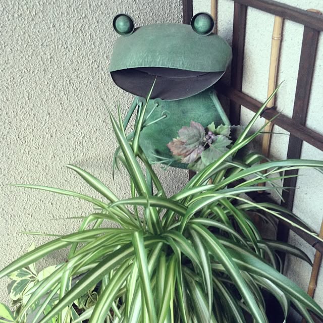 only_moonさんの実例写真