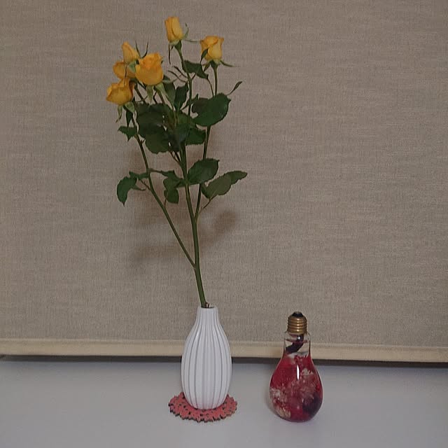 jkabmymycatさんの実例写真
