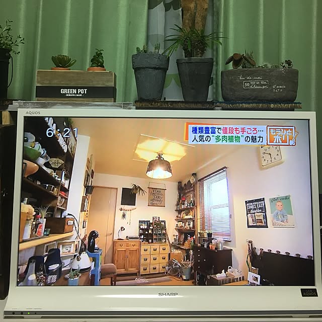tetra163さんの実例写真