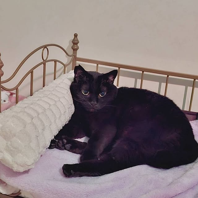 moko.7525himeさんの部屋