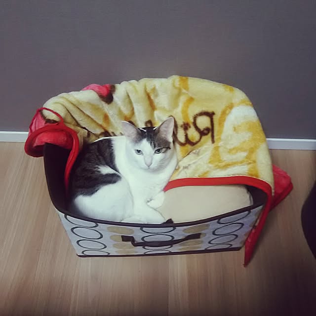 sunnyさんの実例写真