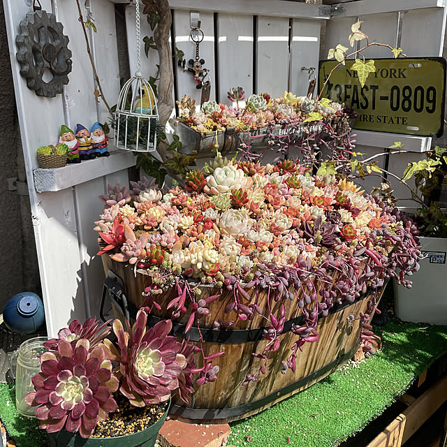 sakuranboさんの実例写真