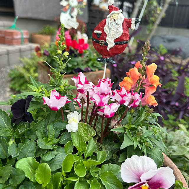 ritsukoさんの部屋