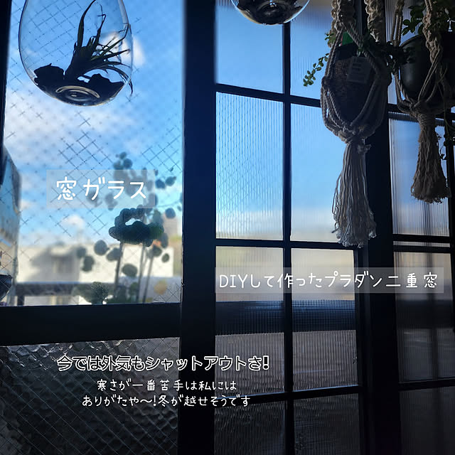 CYNOSさんの実例写真