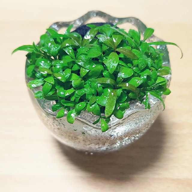 Hathawayさんの部屋