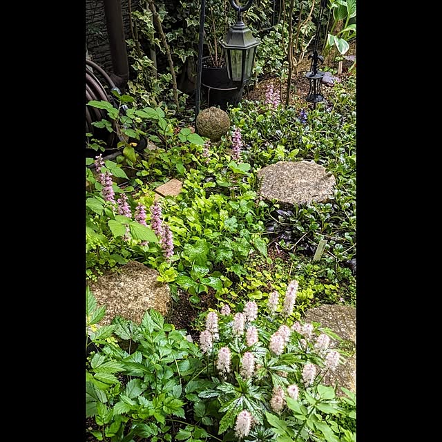 aromameさんの部屋