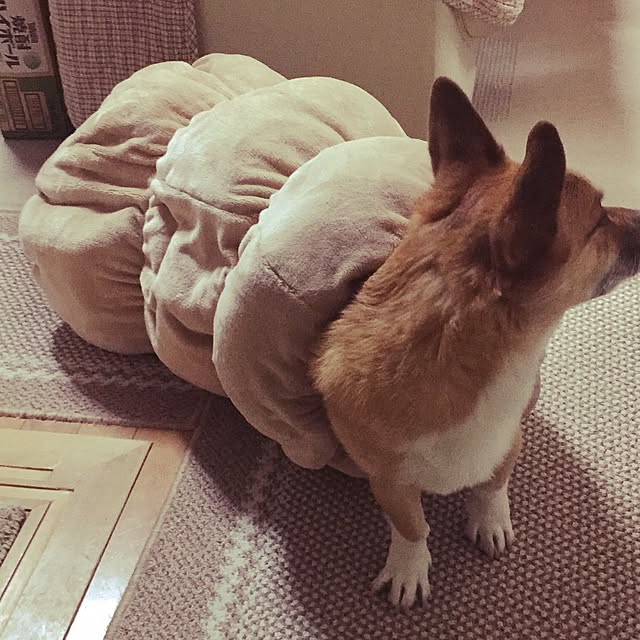 EMIさんの実例写真