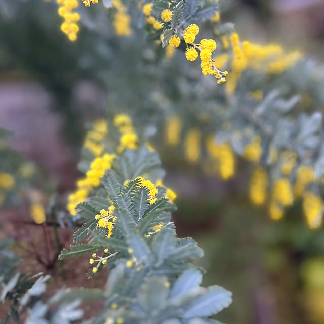 banbinaさんの部屋