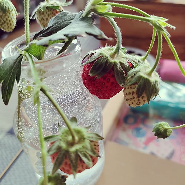 kiraさんの部屋