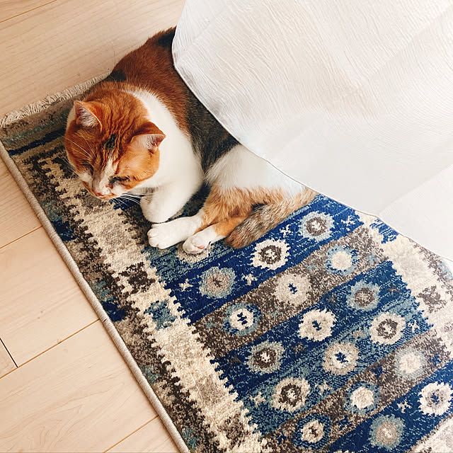 mariさんの実例写真