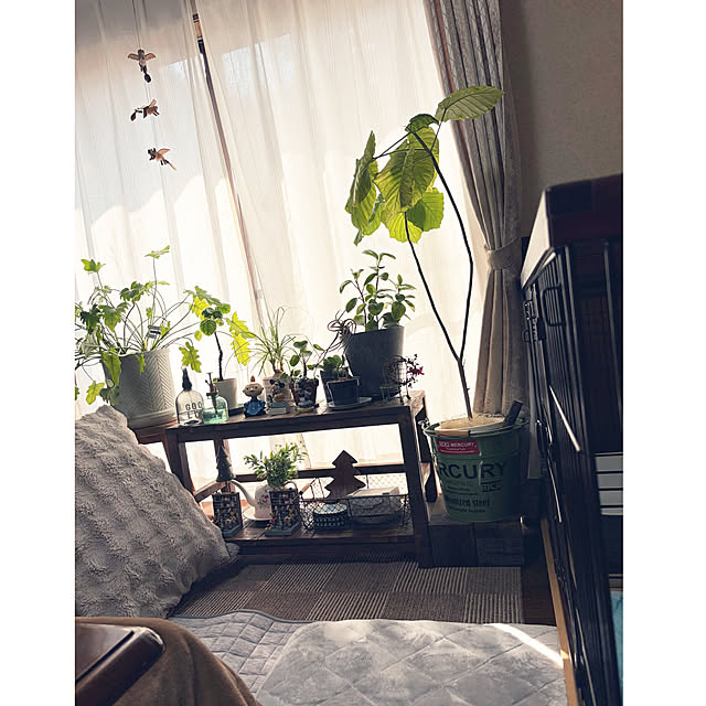 cotaさんの実例写真