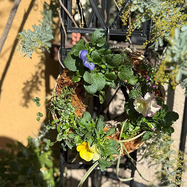 asako.10さんの部屋