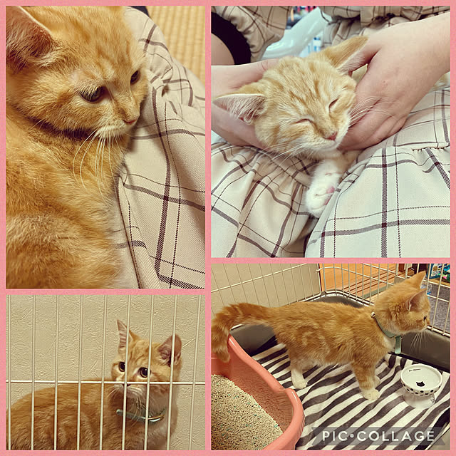 moolさんの実例写真