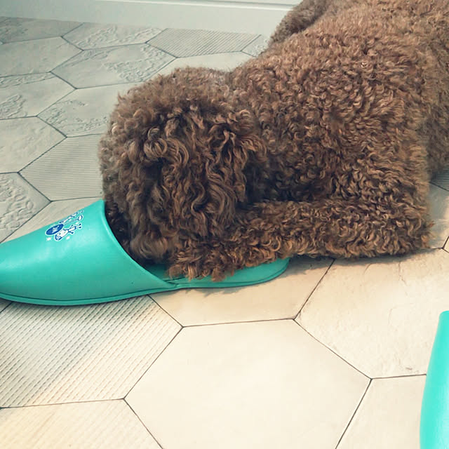 home_44さんの実例写真
