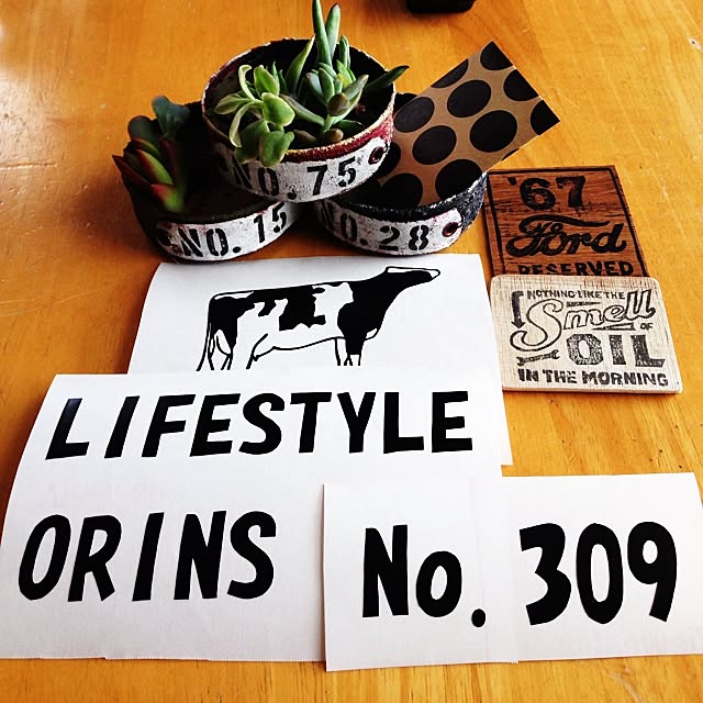 Orinsさんの実例写真