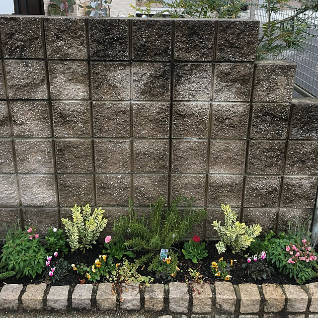 sanw2225719さんの実例写真
