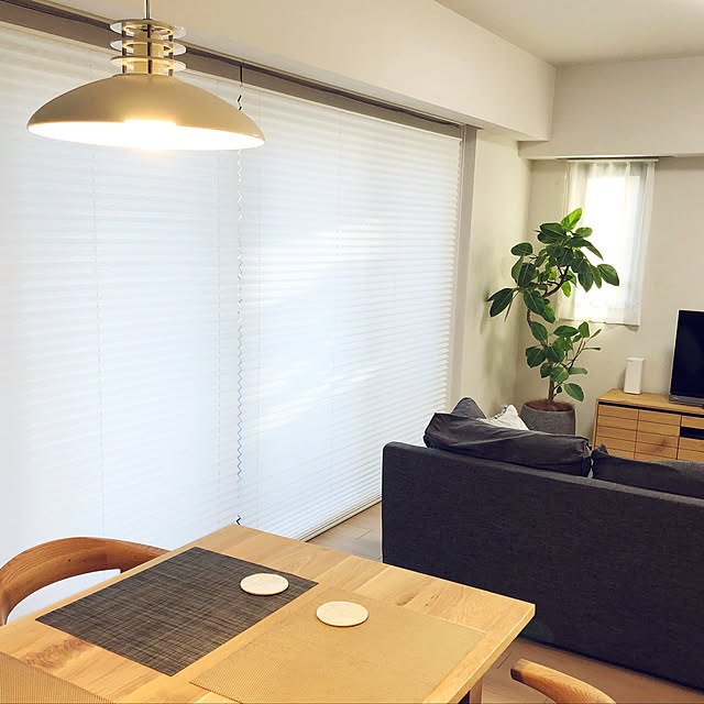 観葉植物/部屋全体のインテリア実例 - 2020-03-16 21:14:04