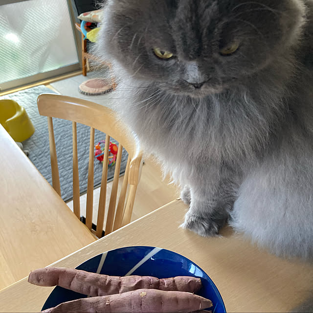 mimosaさんの実例写真