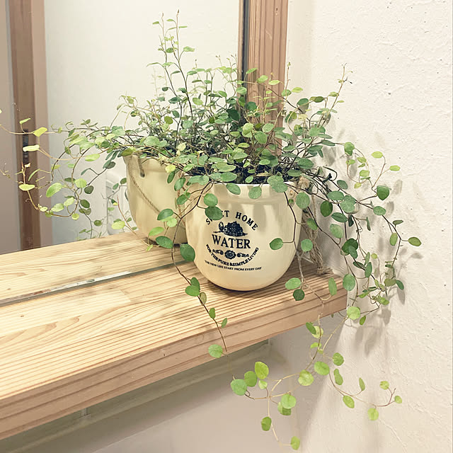 梁のあるリビング/勾配天井/ガルバ屋根/ガルバリウム屋根/木の家...などのインテリア実例 - 2021-03-21 18:48:15