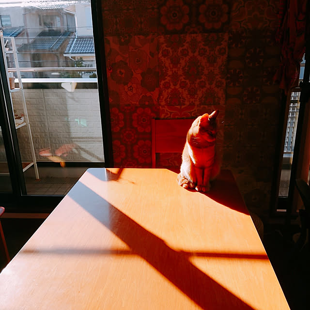 kikiさんの実例写真