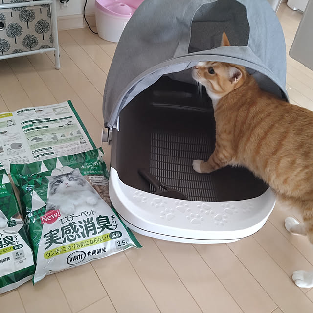 koromaroさんの実例写真