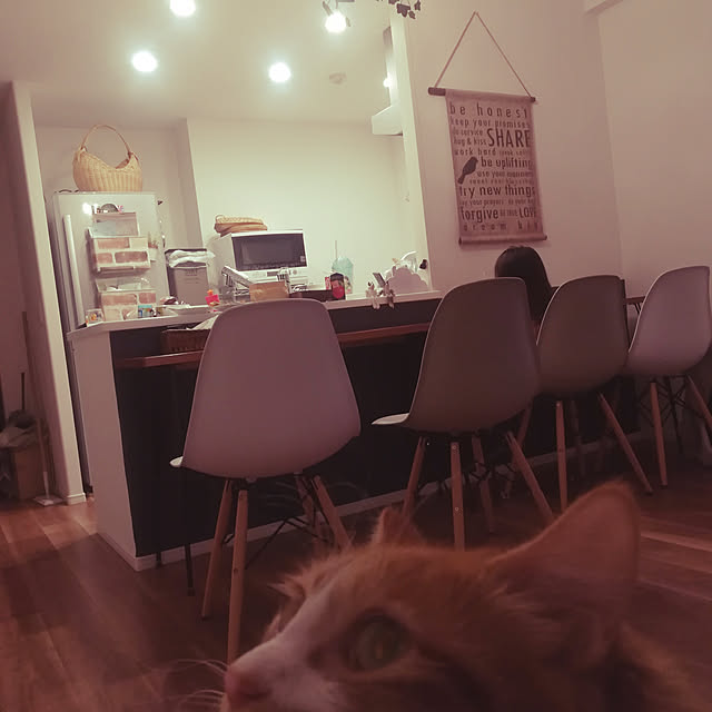 実例写真