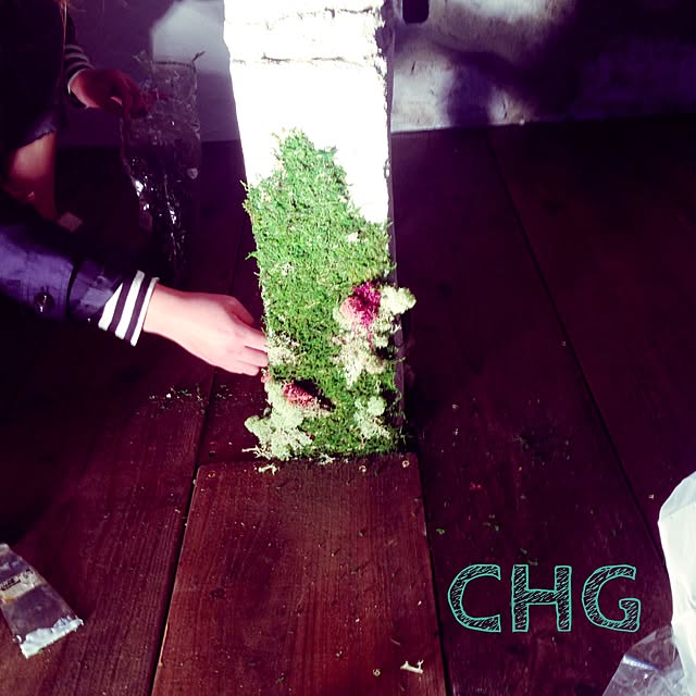 clap_hands_gardenさんの実例写真