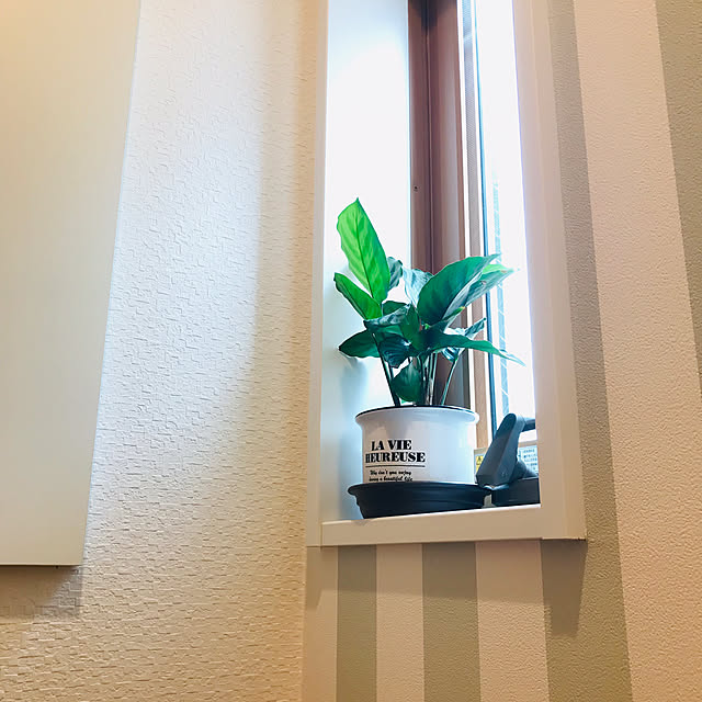 Tomokoさんの部屋